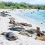 Galapagos Expedition, a Paradise Awaiting Your Discovery