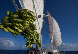 American Samoa – Western Samoa cruise photo
