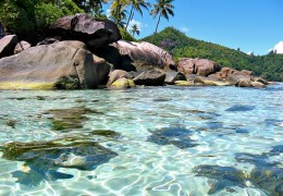 Seychelles cruise photo
